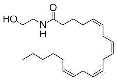 anandamide