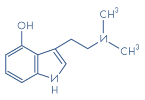 7af33858 d79e 43c5 a07c 4ac7a91a7adf Individual psychedelic therapy